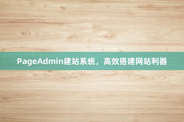 PageAdmin建站系统，高效搭建网站利器