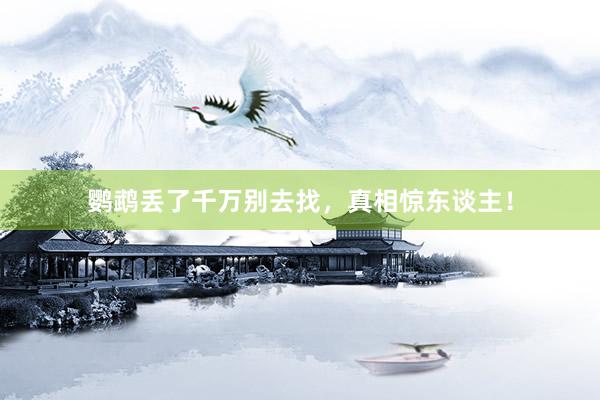 鹦鹉丢了千万别去找,真相惊东谈主!