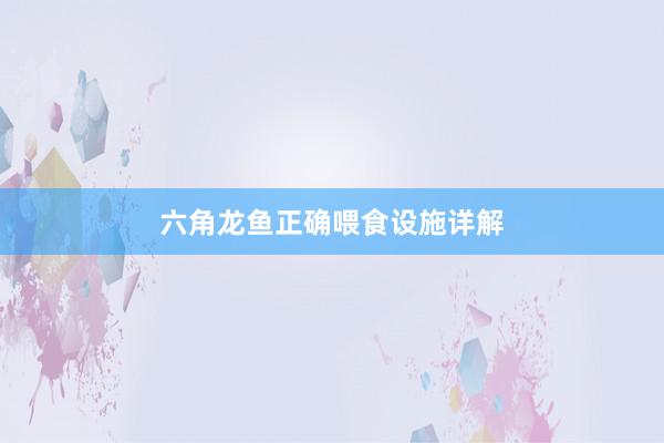 六角龙鱼正确喂食设施详解