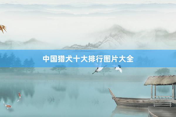 中国猎犬十大排行图片大全